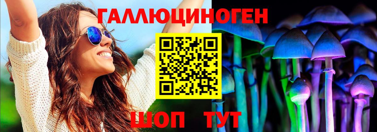 Чайковский  Псилоцибиновые грибы MAGIC MUSHROOMS  Вход с VPN 
